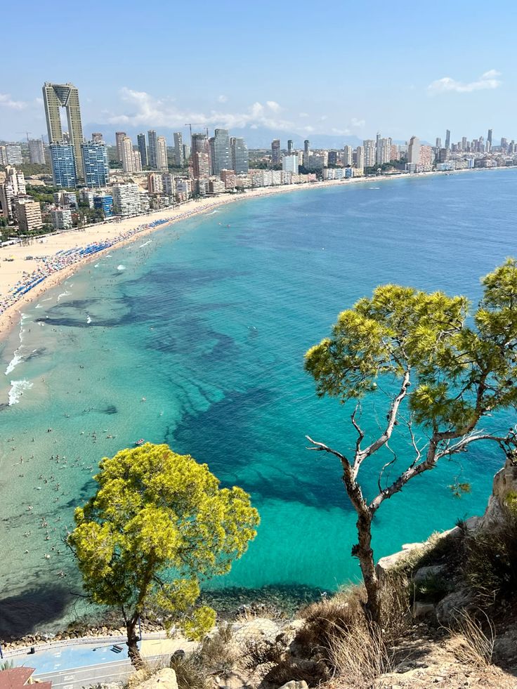 贝尼多姆青年杯